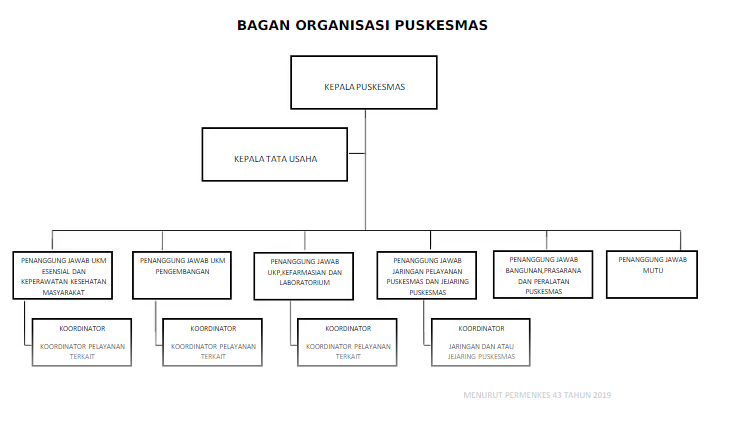 Struktur Organisasi Puskesmas Permenkes 43 Tahun 2019